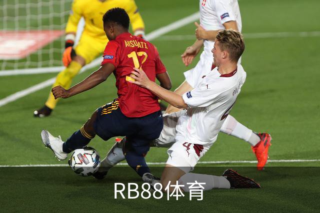 RB88体育公司简介